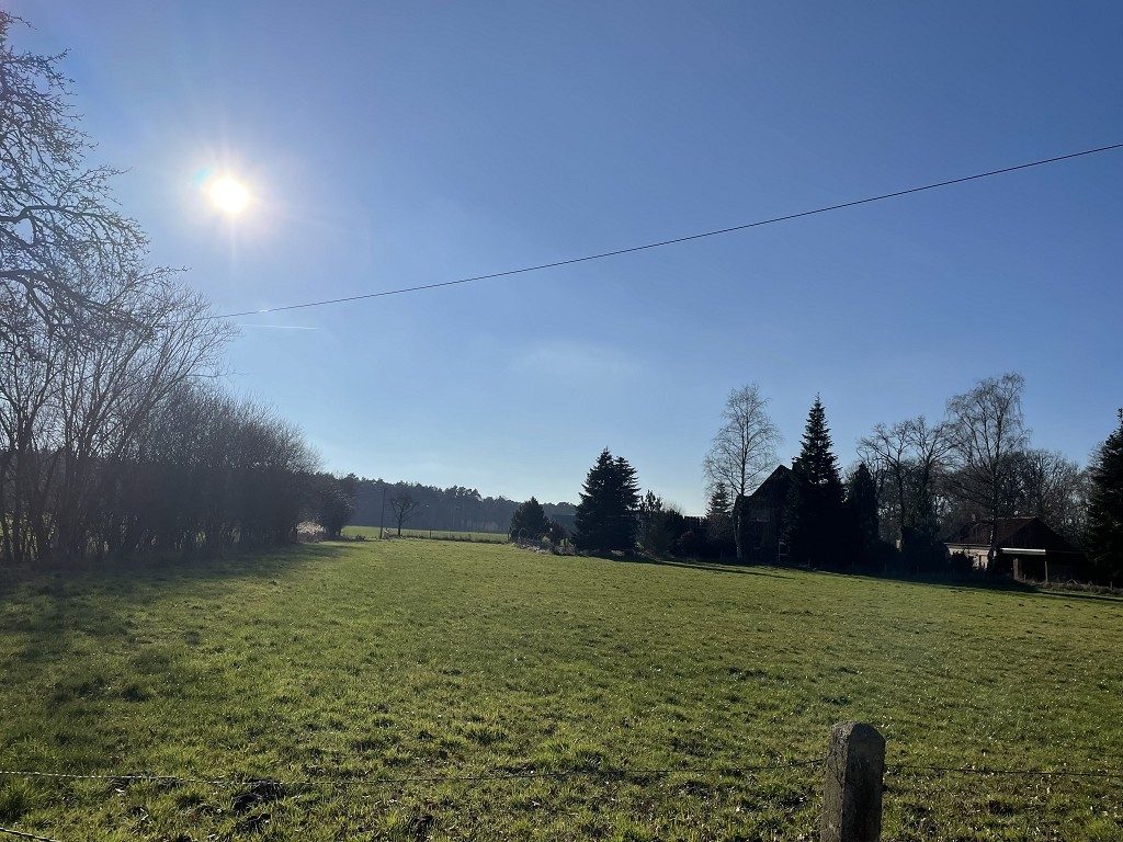 VMI Vermittlung Münster Immobilien GmbH & Co. KG - Immobilienangebot - Beelen - Alle - Raus auf´s Land und endlich Platz satt!